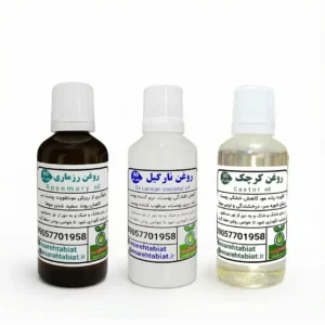 پک دانشجویی